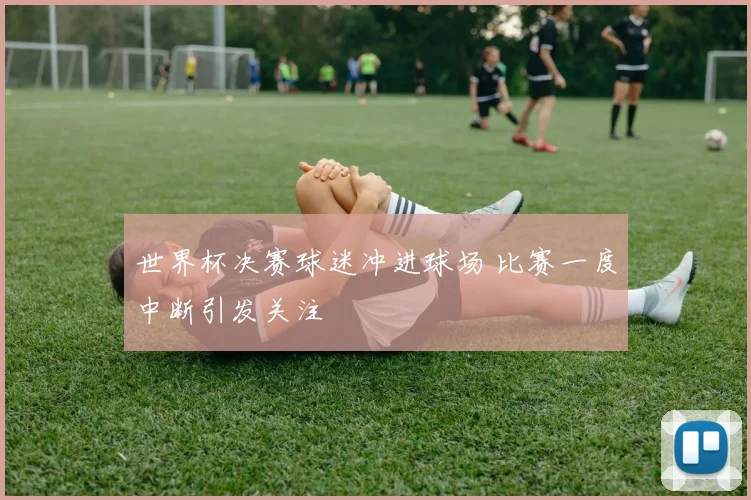 世界杯决赛球迷冲进球场 比赛一度中断引发关注