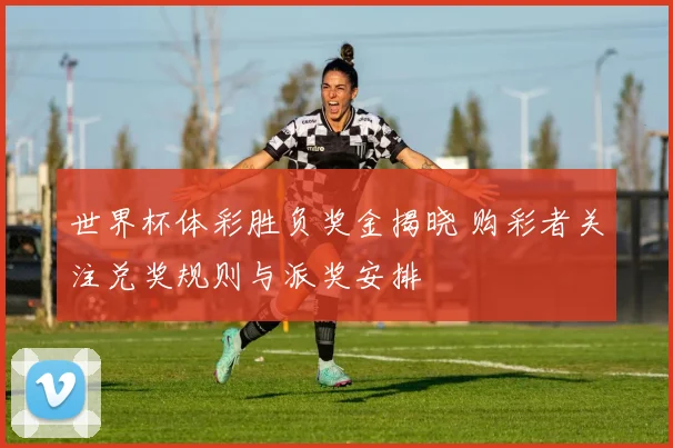 世界杯体彩胜负奖金揭晓 购彩者关注兑奖规则与派奖安排
