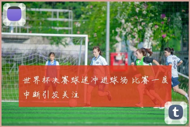 世界杯决赛球迷冲进球场 比赛一度中断引发关注
