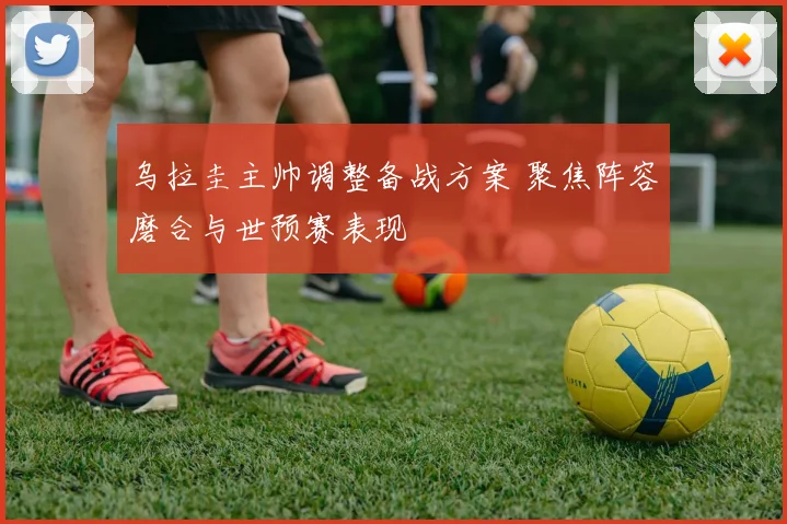乌拉圭主帅调整备战方案 聚焦阵容磨合与世预赛表现