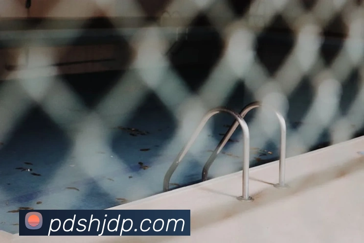 App Interface Preview